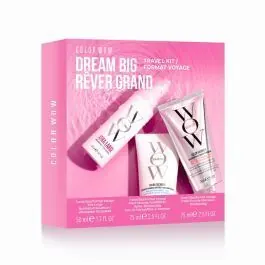Color Wow Dream Big Discovery Set