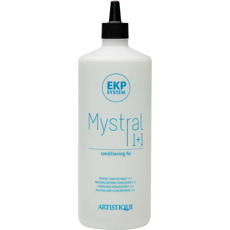 Mystral Conditioning Fix 1+1 1L