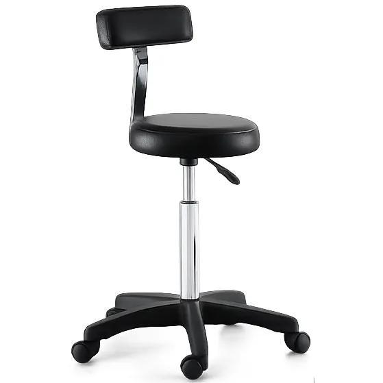 Smart Black Stool With Back